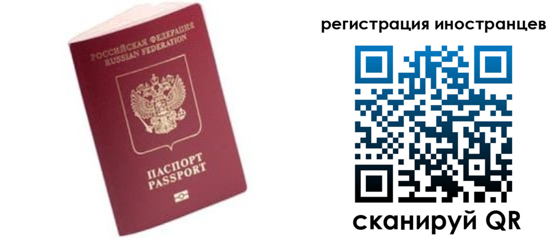 прописка гарантия в Ельне